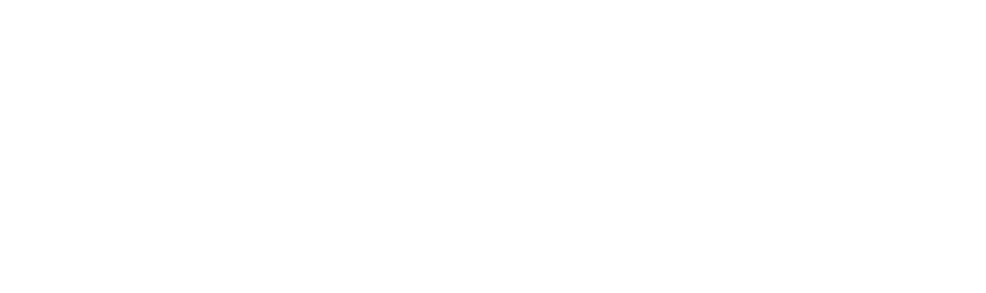 Davila Solutions